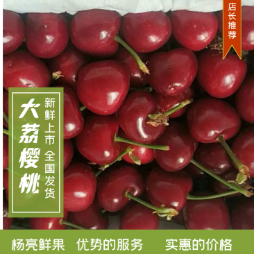 大荔樱桃陕西大棚樱桃美早，萨米托，红灯