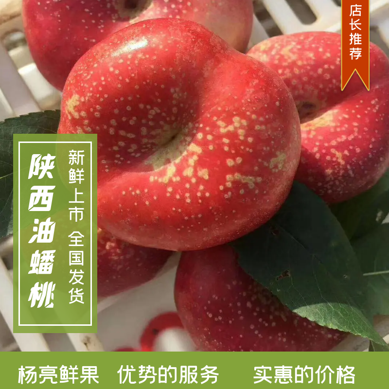 油蟠桃，纽扣油蟠桃，陕西油蟠桃，油蟠桃产地，油蟠桃基