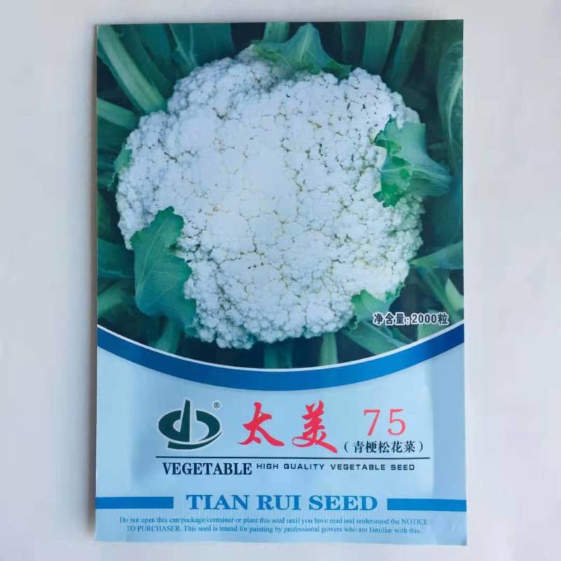 松花菜种子天瑞太美75高产抗病中熟春秋播杂交青梗松花菜种