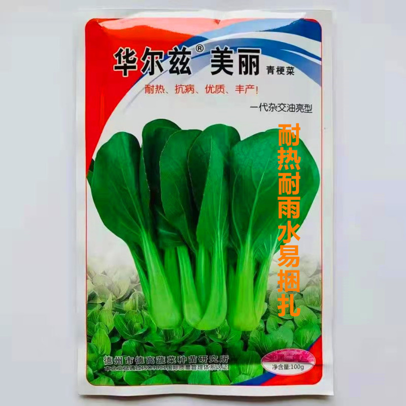 青梗菜种子华尔兹美丽高产抗病抗热耐雨易捆扎优质杂交小白菜
