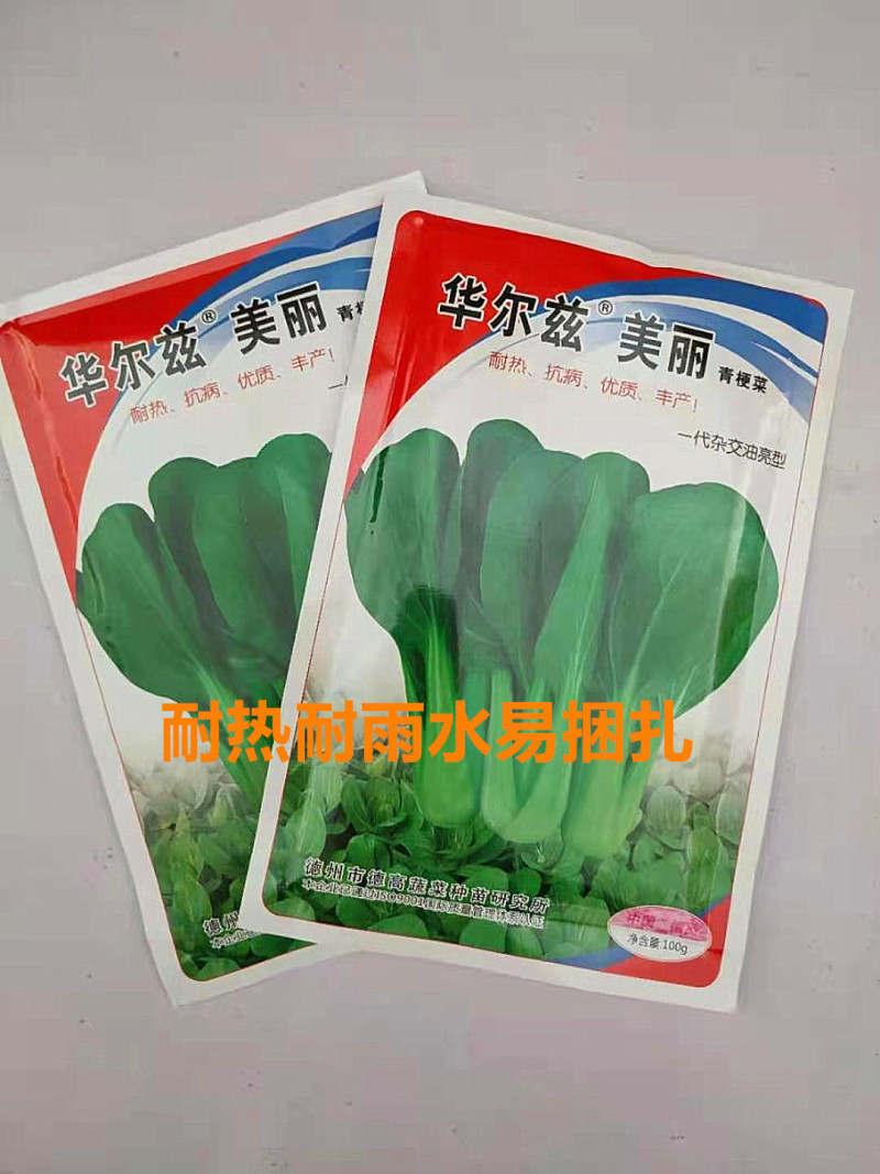 青梗菜种子华尔兹美丽高产抗病抗热耐雨易捆扎优质杂交小白菜