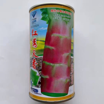 莴笋种子红秀天香高产稳产抗热耐寒清香脆爽春夏秋主栽莴笋种