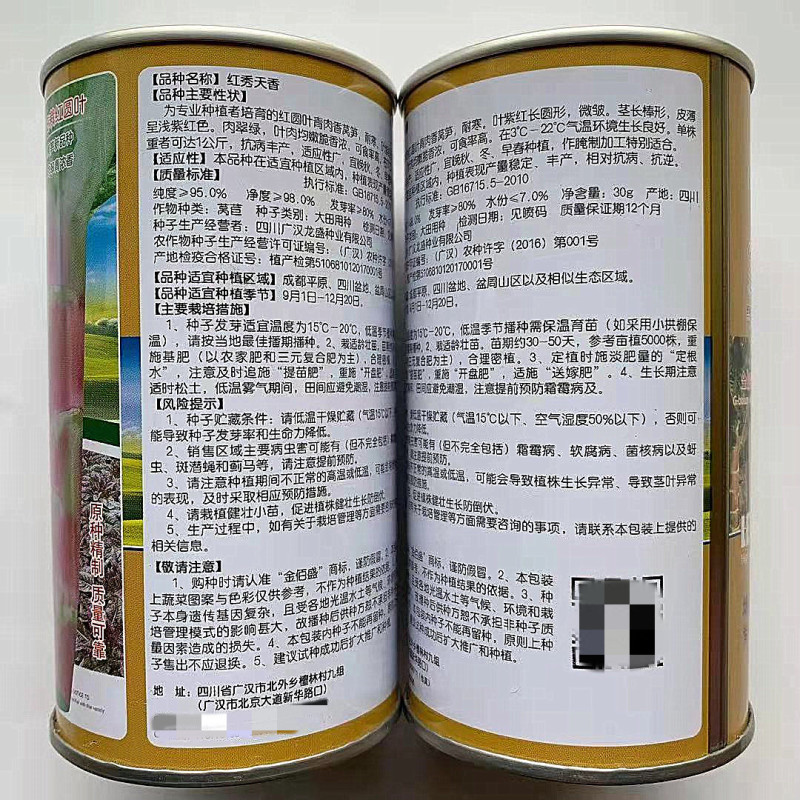莴笋种子红秀天香高产稳产抗热耐寒清香脆爽春夏秋主栽莴笋种