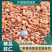 山东滨州海米,金钩米,公司长期供货,诚信合作