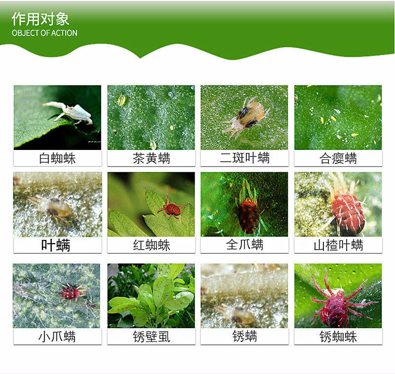 红蜘蛛专用阿维哒螨灵果树蔬菜柑橘红蜘蛛螨虫锈壁虱叶螨杀