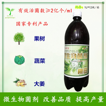 海晟宝根旺蔬菜草莓柑橘生根改土抗线虫改善黄化微生物菌剂2