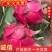【热销】火龙果广东红心火龙果大量上市货好价廉欢迎联系