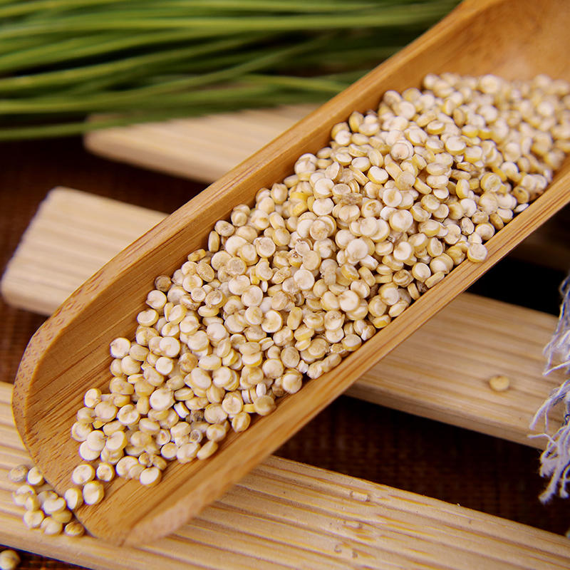藜麦高原白黎麦米可贴牌代工oem大量现货批发货批发藜麦