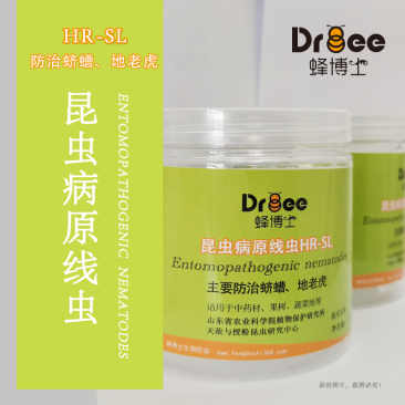 蜂博士昆虫病原线虫蛴螬地老虎生物防治