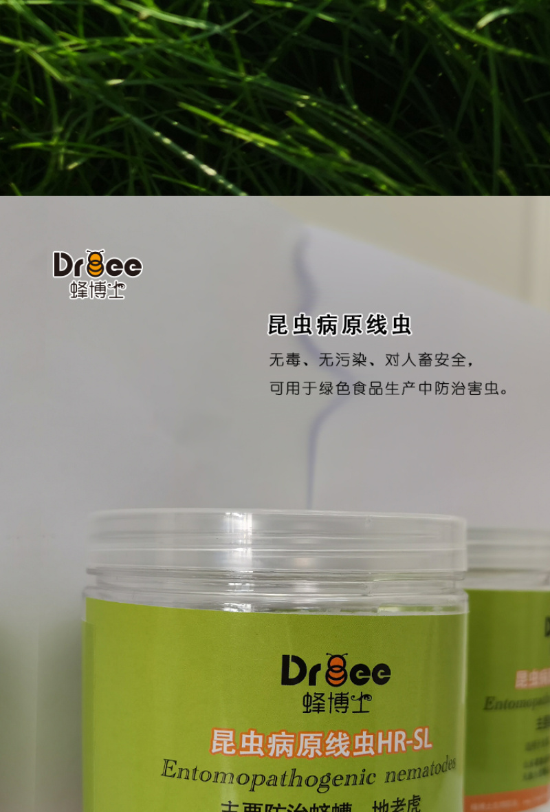 蜂博士昆虫病原线虫蛴螬地老虎生物防治