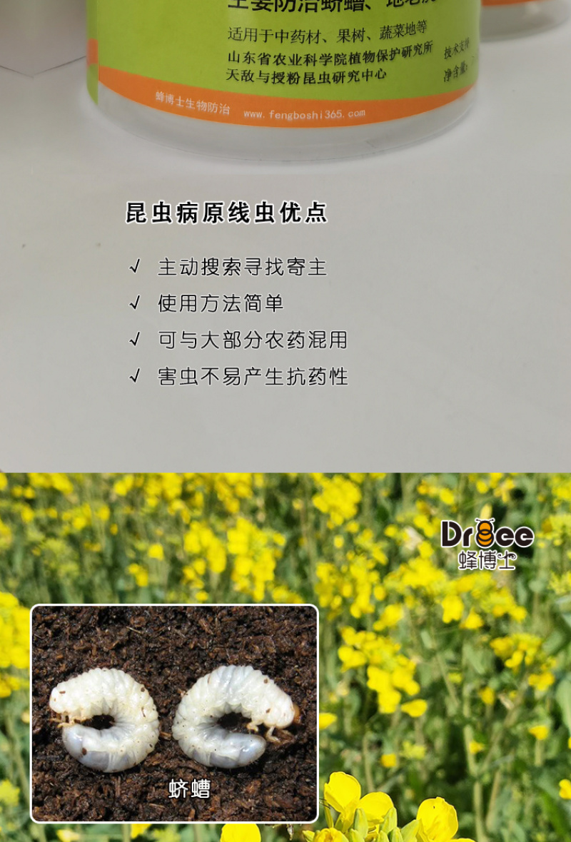 蜂博士昆虫病原线虫蛴螬地老虎生物防治