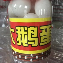【牛商推荐】桶装大鹅蛋，口感细腻出油率高现货直发保质保量