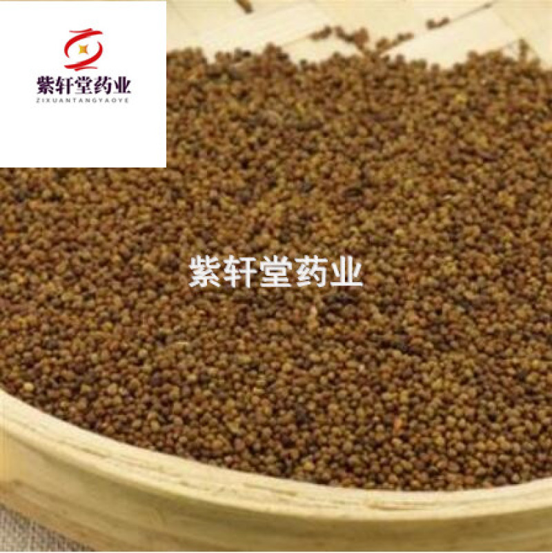 菟丝子菟丝子水洗选货产地宁夏紫轩堂药业