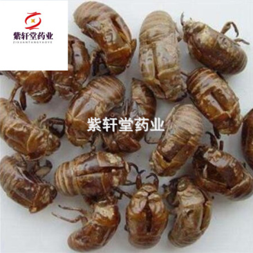 蝉蜕蝉蜕统货产地山东省地道药材蝉蜕壳紫轩堂药业