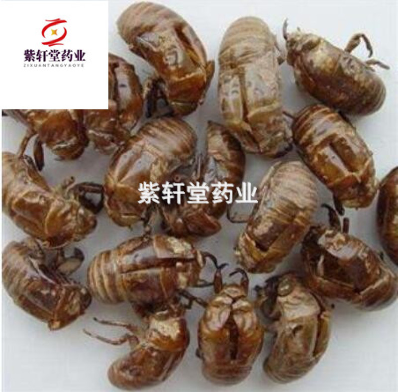 蝉蜕蝉蜕统货产地山东省地道药材蝉蜕壳紫轩堂药业