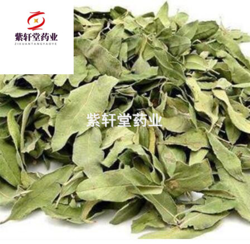 罗布麻叶罗布麻统产地新疆地道药材紫轩堂药业