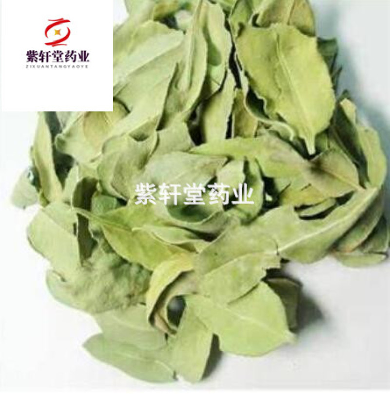 罗布麻叶罗布麻统产地新疆地道药材紫轩堂药业