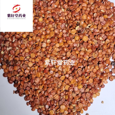 生枣仁酸枣仁进口纯干颜色好紫轩堂药业