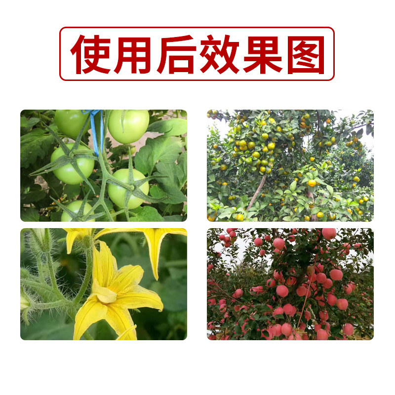 施美特流体硼微量元素叶面肥料糖醇硼液体硼保花保果