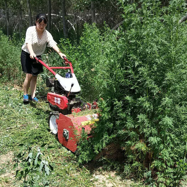 前置式高草割草机田园杂草灭茬碎草机三米以下高草粉碎机