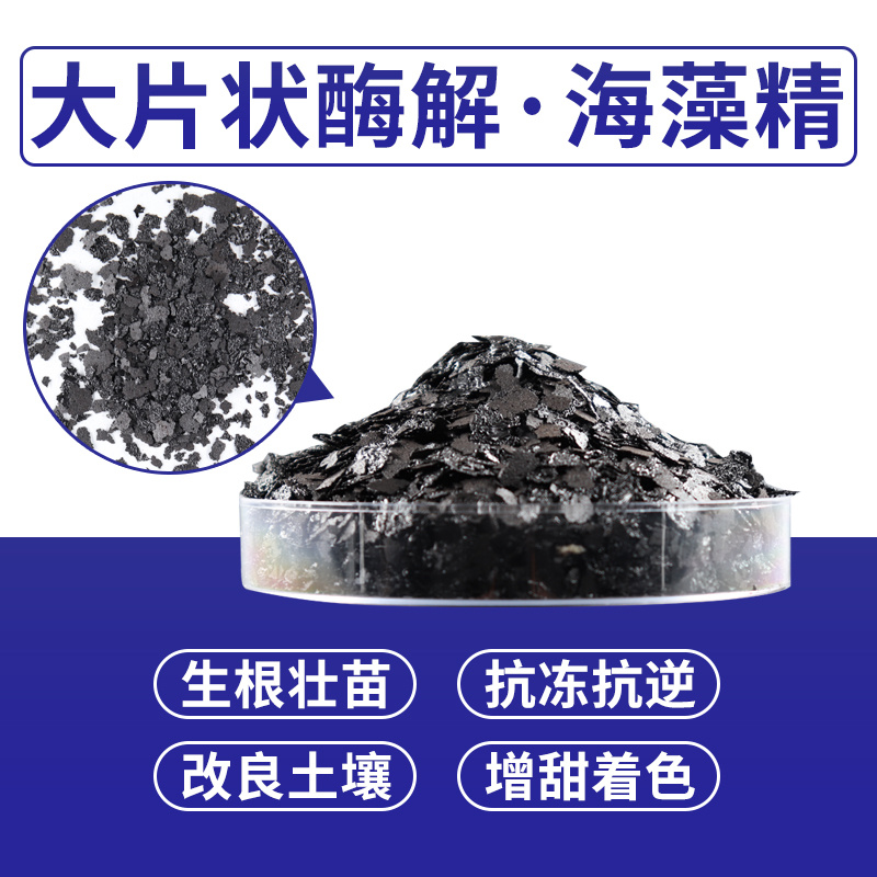 施美特大片状酶解海藻精有机水溶肥料海藻酸生根剂冲施肥