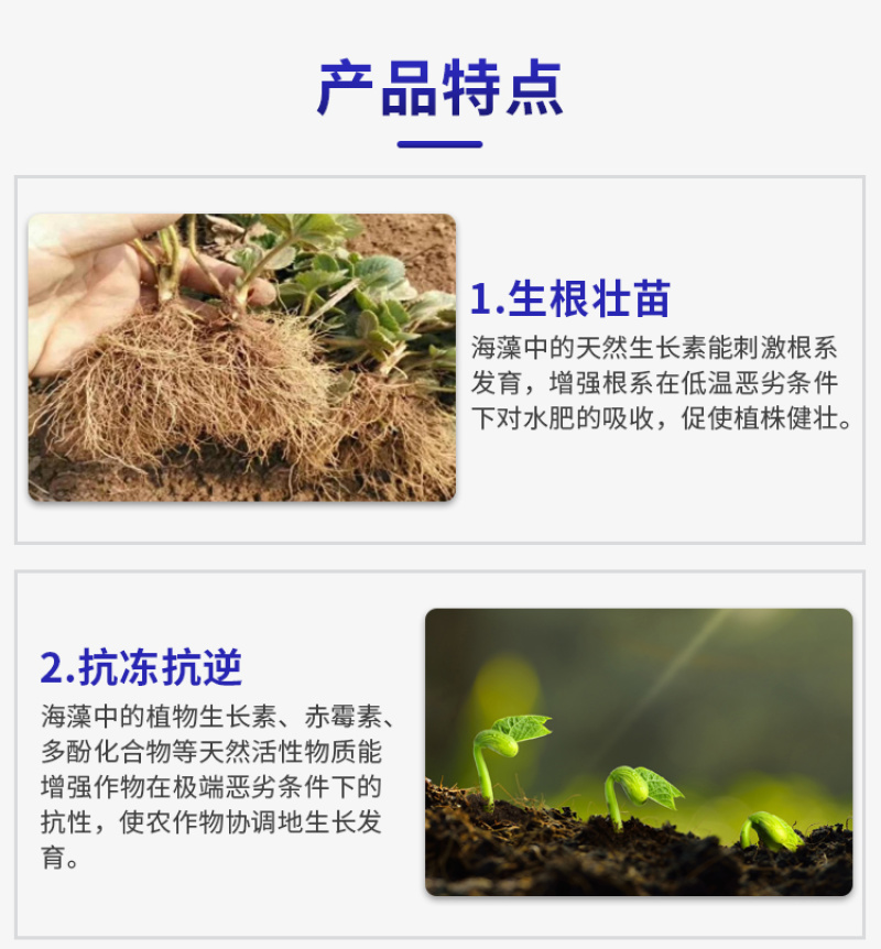 施美特大片状酶解海藻精有机水溶肥料海藻酸生根剂冲施肥