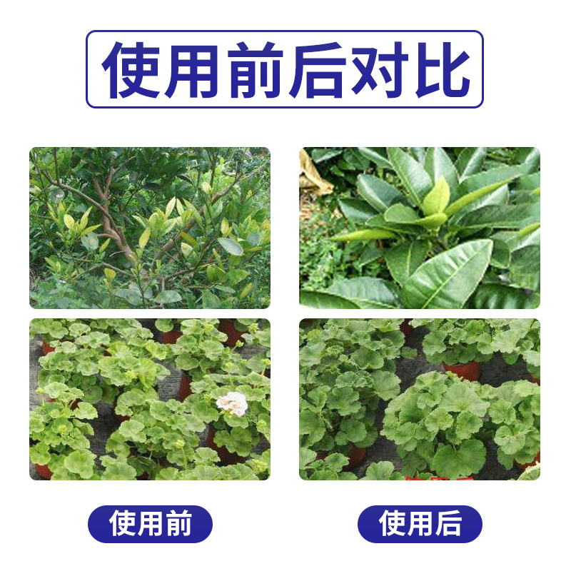 施美特哈茨木霉菌根腐病专用微生物菌剂