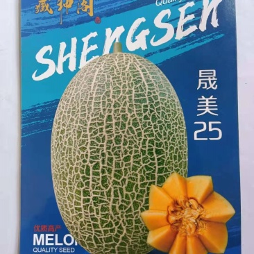 晟美25早熟25种子品种35天就可卖瓜肉质酥脆香甜