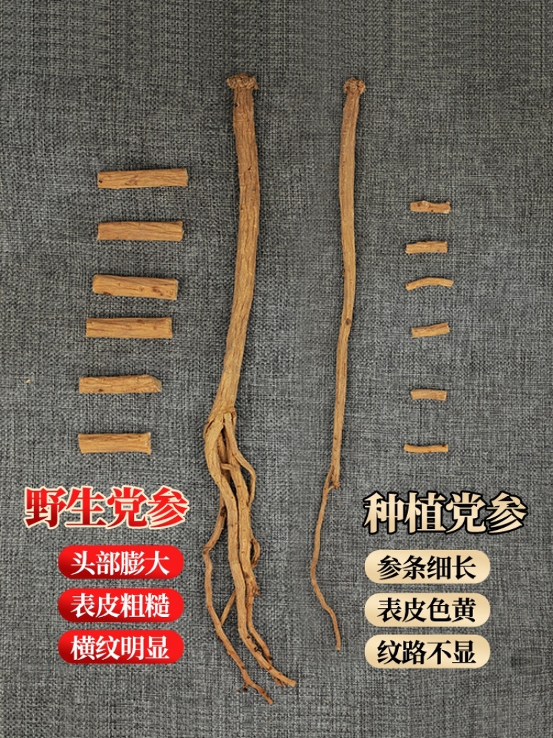 党参甘肃白条干中条统货农家自产自销批发单卖无硫熏非野生