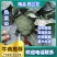 【推荐】西蓝花兰花河南西蓝花量大质优商超直供