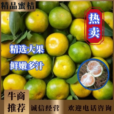四川资阳特早蜜橘柑橘特早蜜桔柑桔蜜橘免费提供住宿