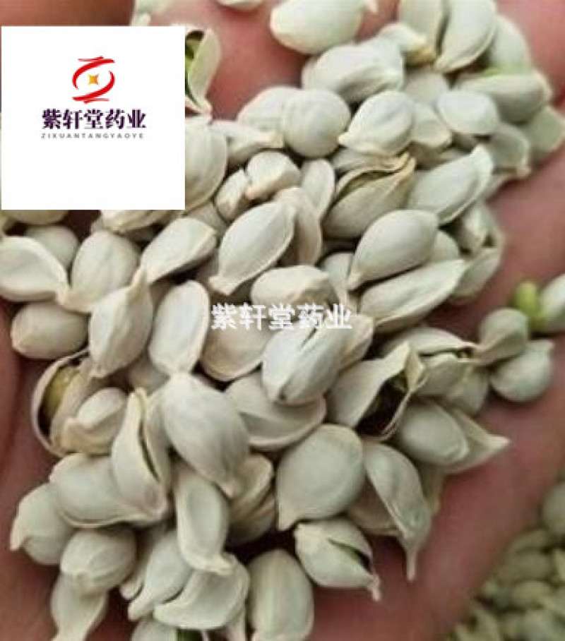 橘核桔核新货颜色好纯干颗粒饱满产地直销