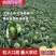 精品山西甘蓝绿甘蓝个头均匀2斤左右货发全国商超市场