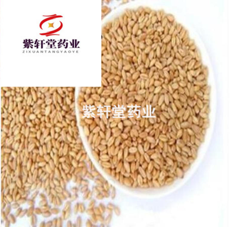 浮小麦浮小麦净货产地河南省紫轩堂药业