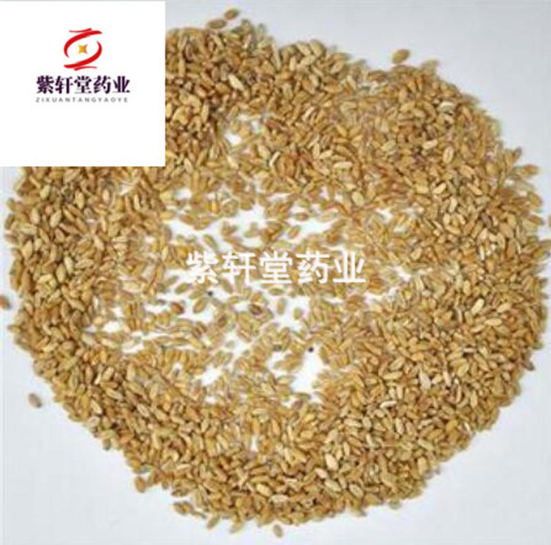浮小麦浮小麦净货产地河南省紫轩堂药业