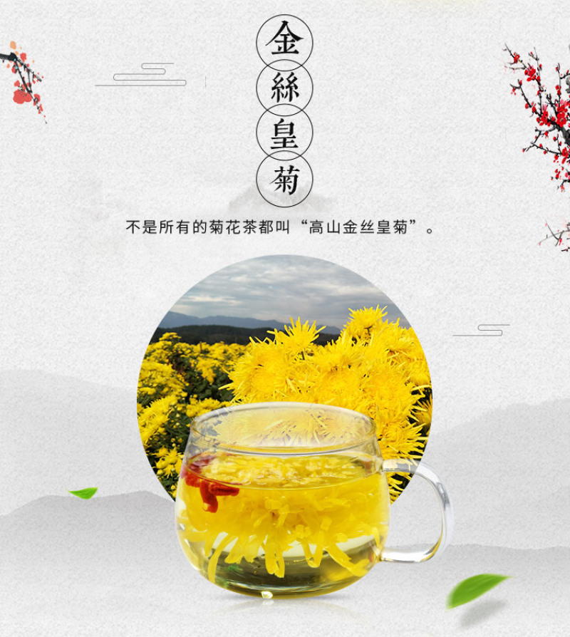 正宗修水金丝皇菊一朵一杯菊花茶厂家批发花草茶