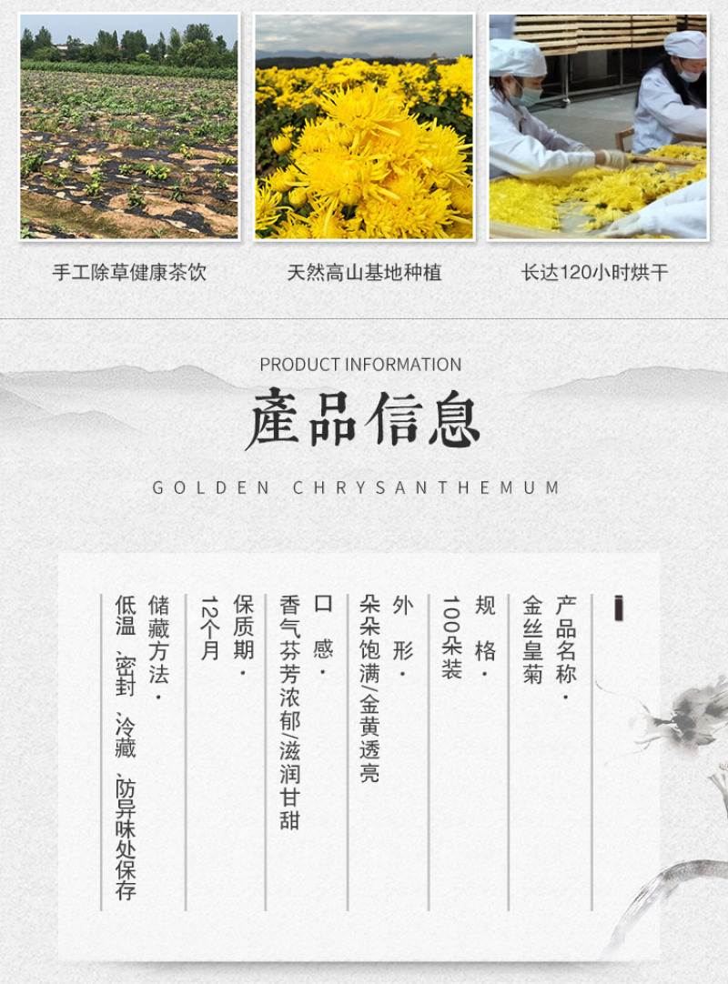 正宗修水金丝皇菊一朵一杯菊花茶厂家批发花草茶