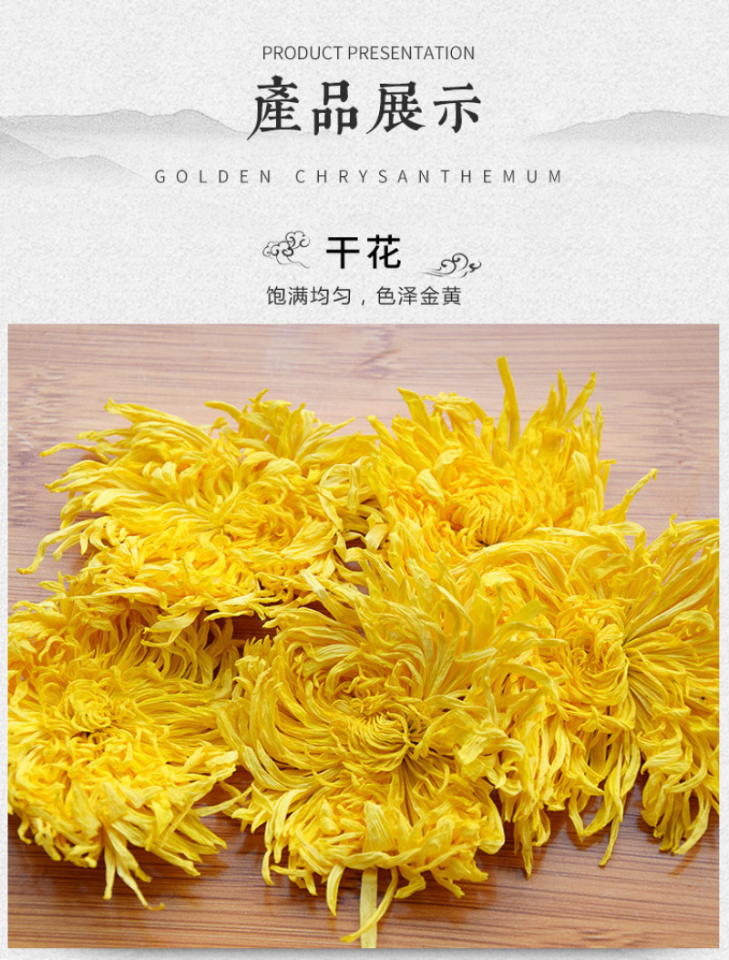 正宗修水金丝皇菊一朵一杯菊花茶厂家批发花草茶