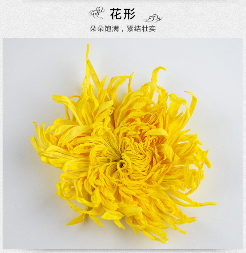 正宗修水金丝皇菊一朵一杯菊花茶厂家批发花草茶