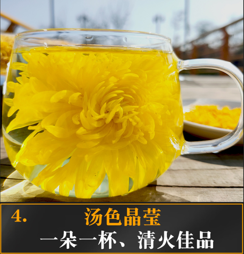 江西金丝皇菊特级大朵菊花茶一朵一杯皇菊清热去火