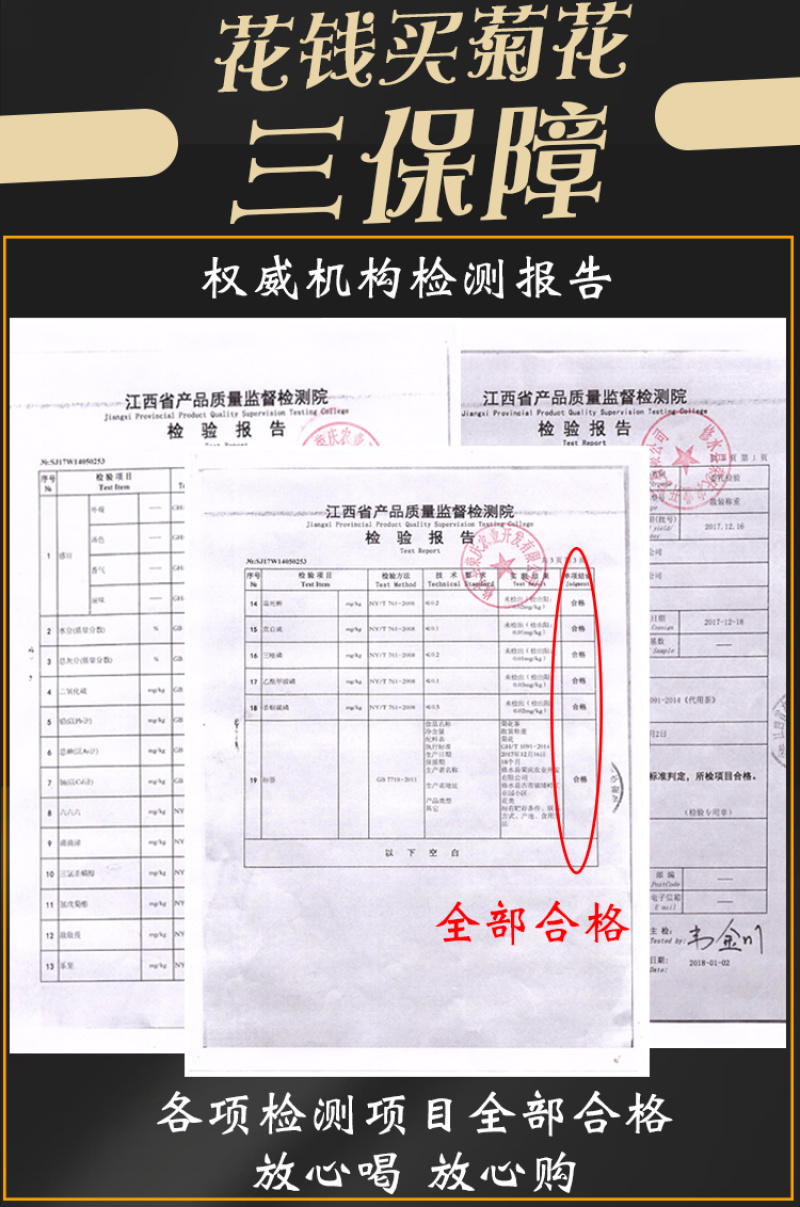江西金丝皇菊特级大朵菊花茶一朵一杯皇菊清热去火