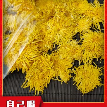 江西金丝皇菊特级大朵菊花茶一朵一杯皇菊清热去火