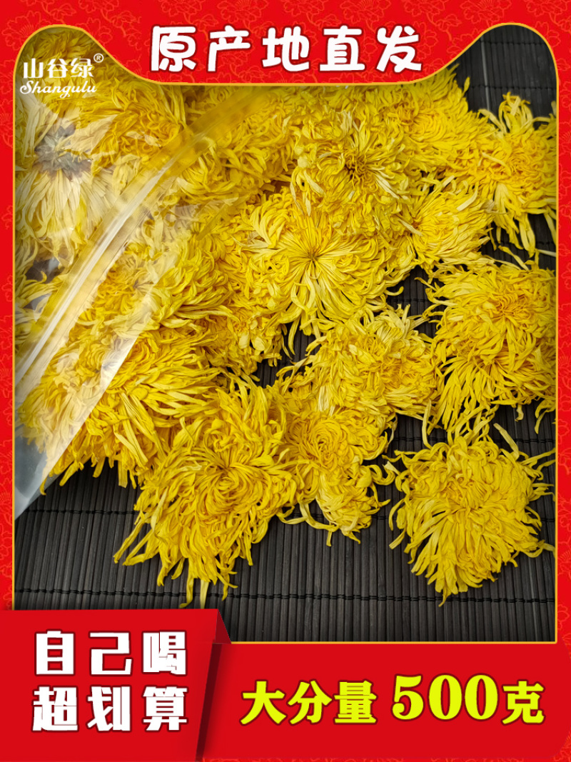 江西金丝皇菊特级大朵菊花茶一朵一杯皇菊清热去火