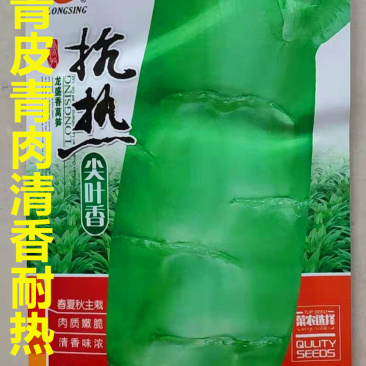 莴笋种子龙盛抗热尖叶香莴笋高产抗病耐热耐寒清香脆爽莴笋种