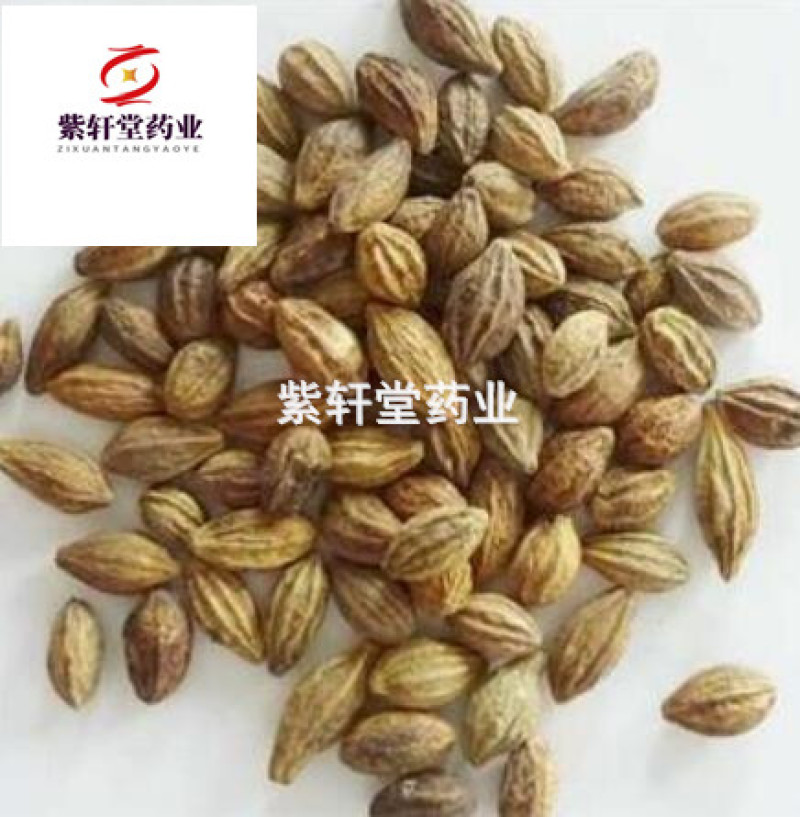 诃子柯子净货产地云南省产地直销重在质量