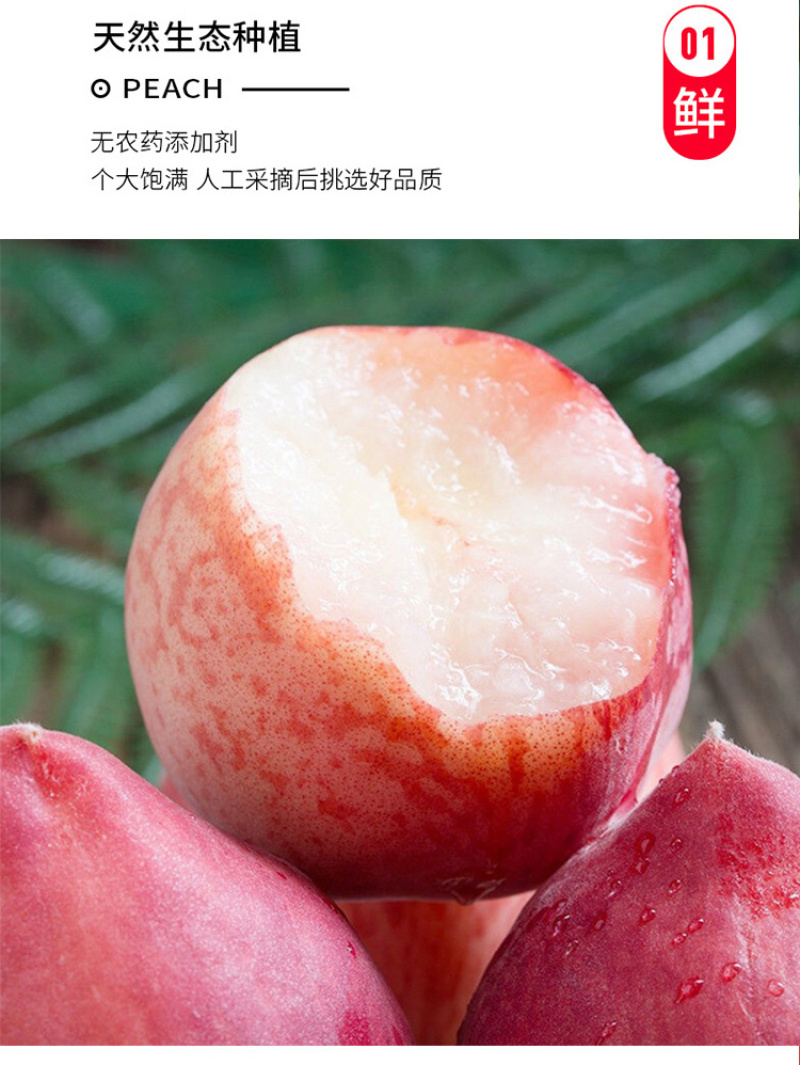 新鲜水蜜桃现摘现发货源充足整车发货量大从优
