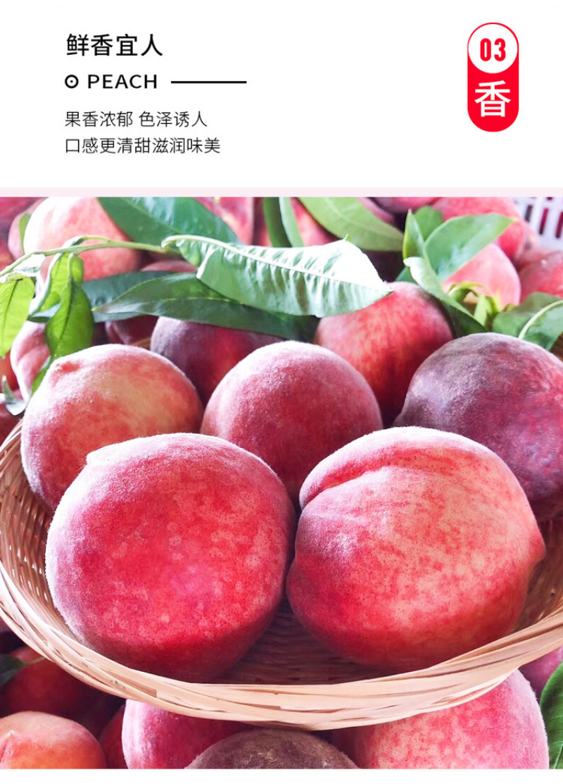 新鲜水蜜桃现摘现发货源充足整车发货量大从优