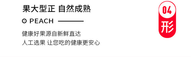 新鲜水蜜桃现摘现发货源充足整车发货量大从优