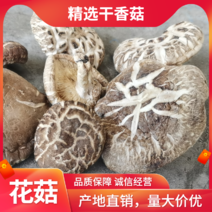 秦岭露天仿野生种植的秦岭野生椴木香菇，已晒干准备装袋