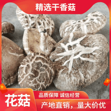 【干花菇】精选好货，大量供应，已晒干准备装袋